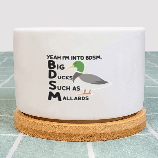 yeah i'm into bdsm big ducks such as mallards Plant Pots