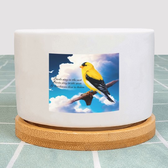 Birds sing Plant Pots