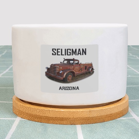 Old car city of Seligman in Arizonna, US Route 66 Plant Pots