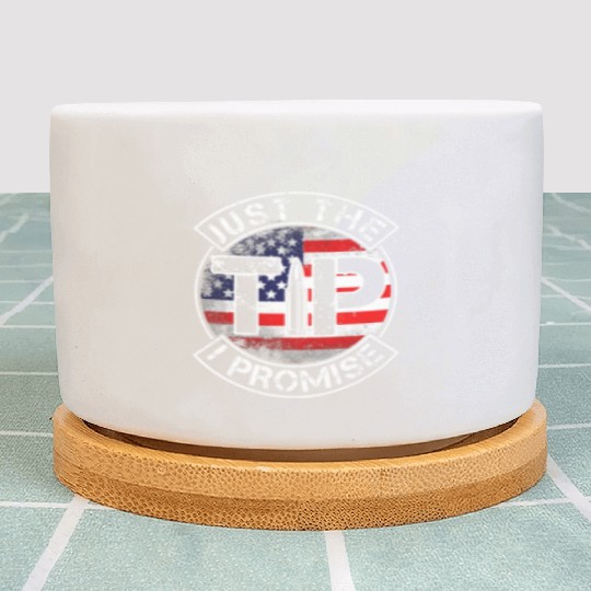 Just The Tip I Promise 2nd Amendment Patriotic US Plant Pots