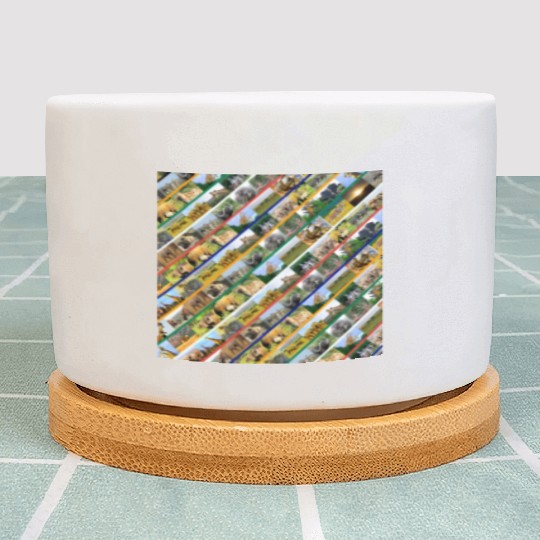 Wildlife Stripe Multi Color Collage Plant Pots