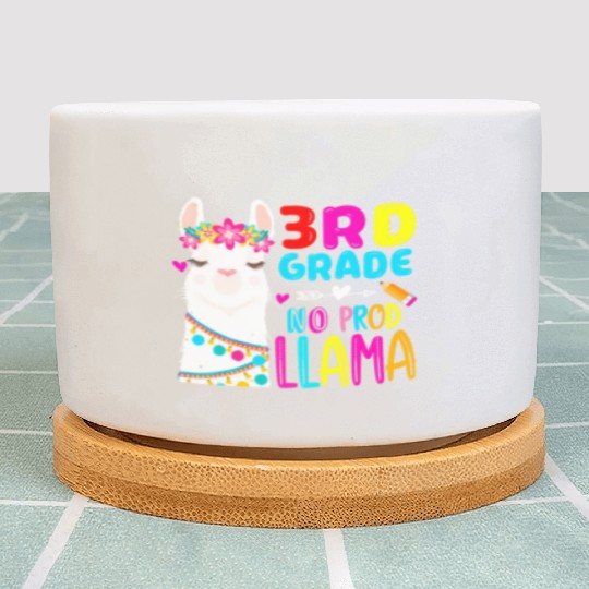 Team 3rd Grade Teacher Rainbow No Prob Llama Back Plant Pots