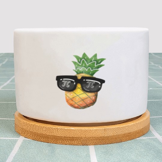 Pineapple Pi Day Plant Pots