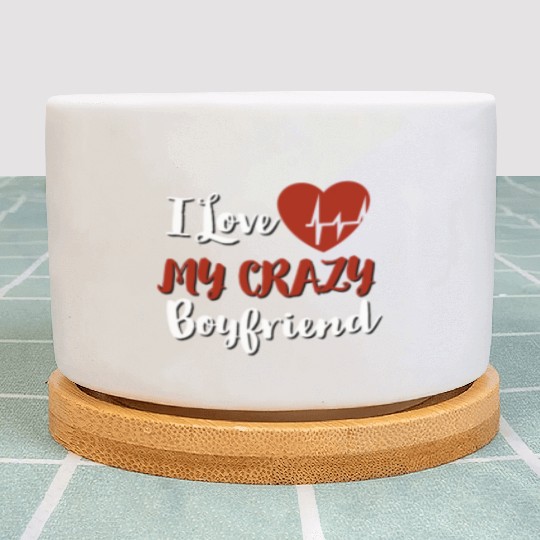 I Love My crazy boyfriend Plant Pots