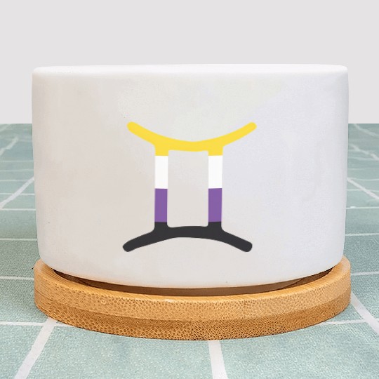 Non Binary Gemini Sign Non Binary Pride Plant Pots
