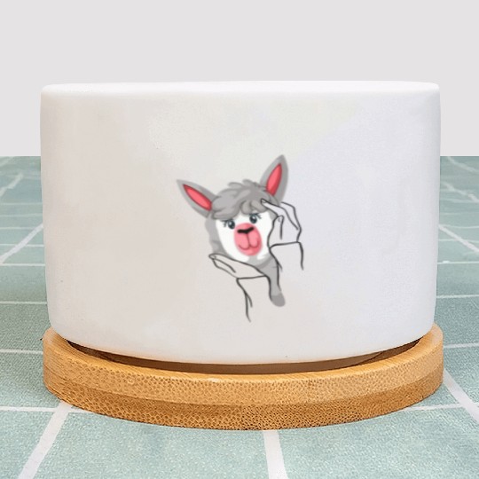 Funny llama in hands Plant Pots