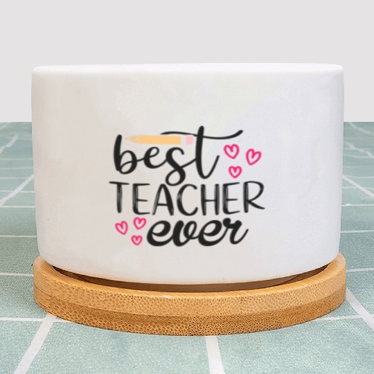 Best teacher ever Plant Pots