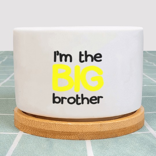 i'm the big brother Plant Pots