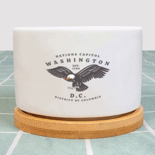Washington Dc Plant Pots