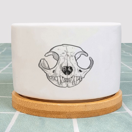 Cat Skull Plant Pots