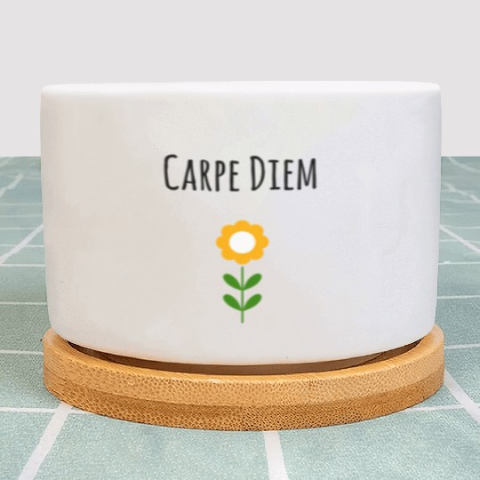 Carpe Diem Inspirational Plant Pots