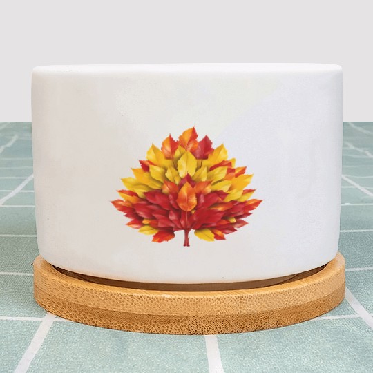 Autumn in Spain: Yellow-Red Leaves Reflecting the Plant Pots