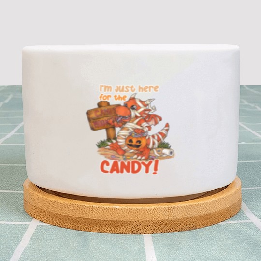 I'm Just Here For Candy Halloween Dragon Mummy Plant Pots