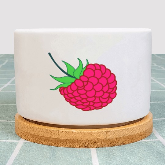 Raspberry red with green leaves Plant Pots