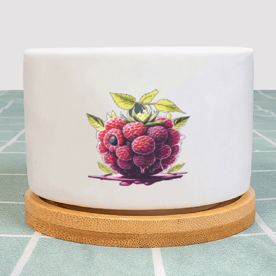 Raspberry Plant Pots