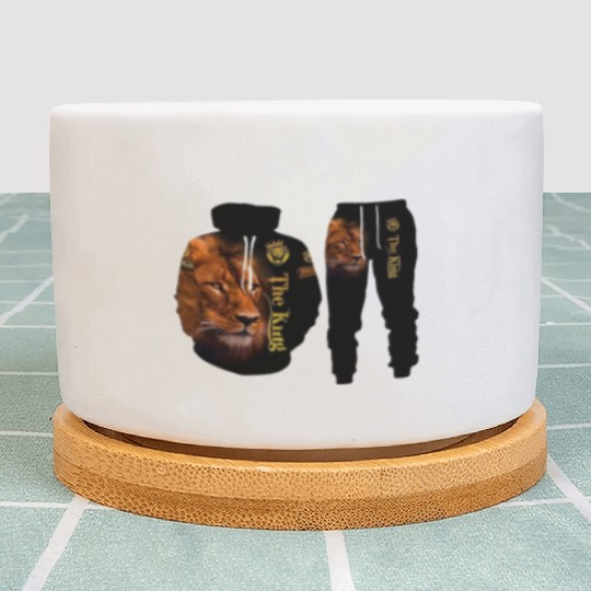 Lion  D83E DD81 ensemble Plant Pots