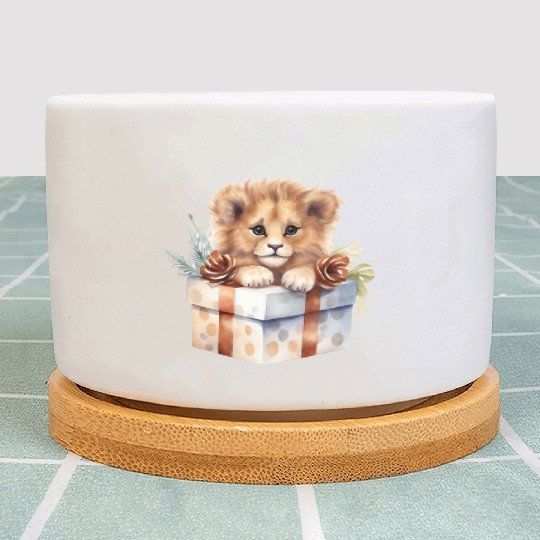African Lion inside a Christmas gift box Plant Pots