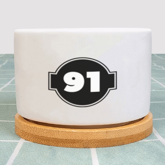 Congratulations Today 91 Years Old - Ninety-Nine Plant Pots