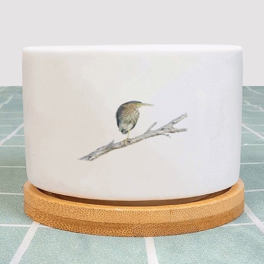 Green Heron Plant Pots
