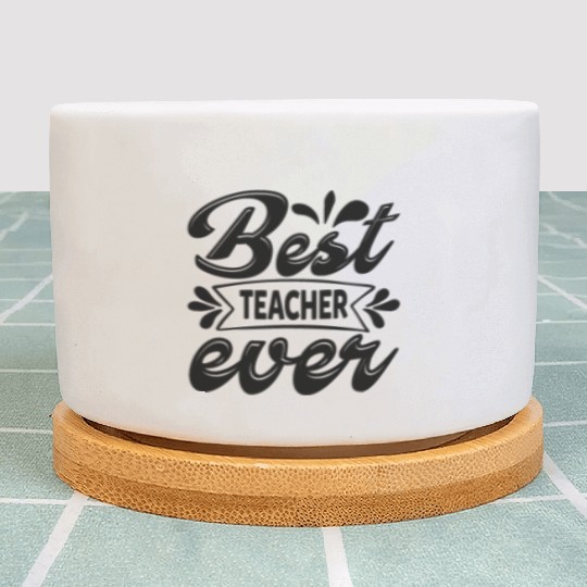Best teacher ever Plant Pots