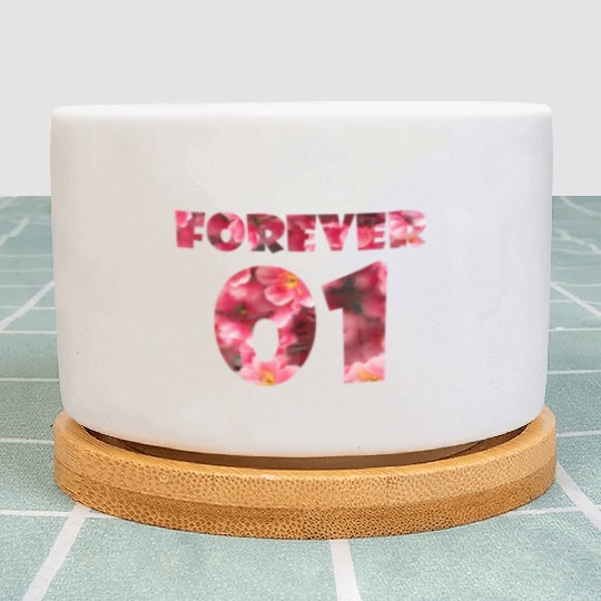 best friends for 3 - FOREVER Plant Pots