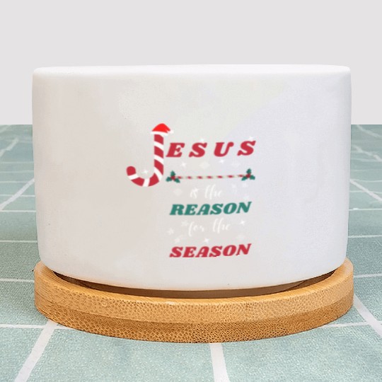 Jesus is the reason for the season Plant Pots