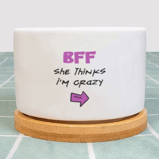 Best Friends Forever for 3 - She Thinks Im Crazy Plant Pots