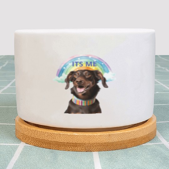 happy dog Plant Pots