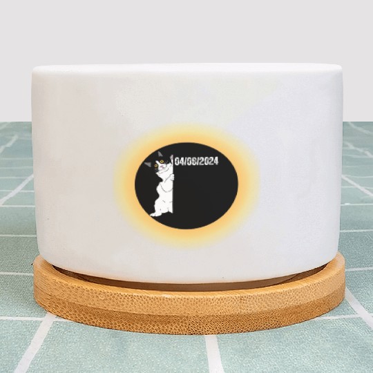 Solar Eclipse 2024 Total Sun Eclipse Plant Pots