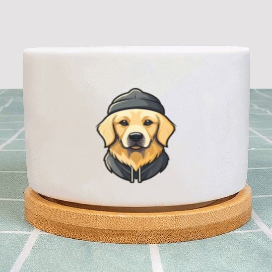 Golden Retriever with cap Plant Pots