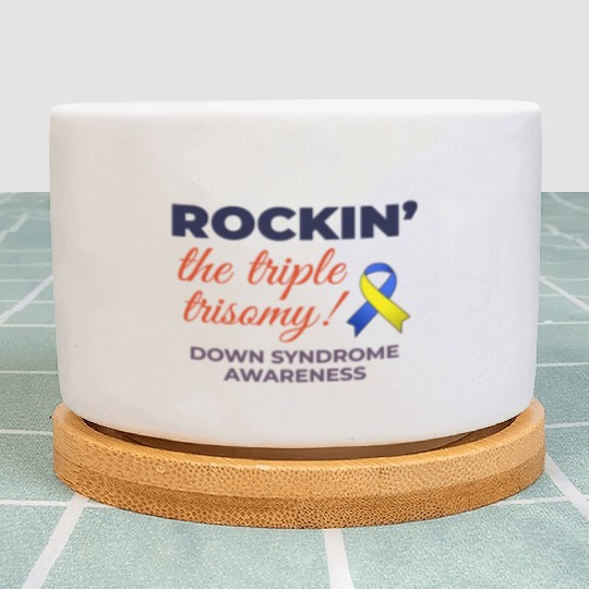 Down Syndrome Awareness Triple Trisomy Rock Plant Pots