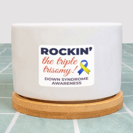 Down Syndrome Awareness Triple Trisomy Rock Plant Pots