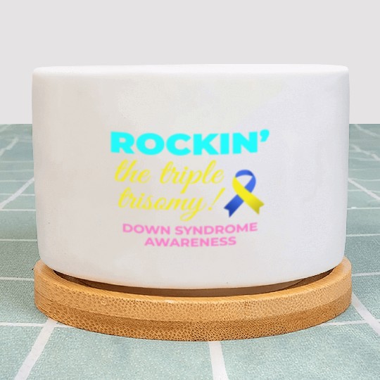 Down Syndrome Awareness Triple Trisomy Rock Plant Pots