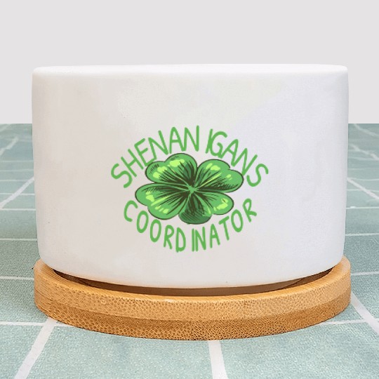 Shenanigans Coordinator St Patrick Plant Pots