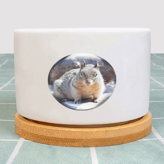 Life In a Bubble Collection- Grand Canyon Squirrel Plant Pots