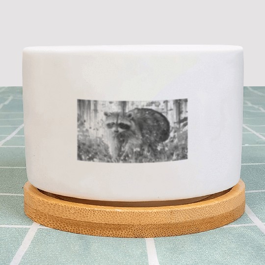 cute racoon walking through wooded forest Plant Pots