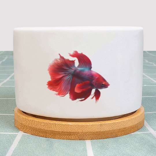 Siamese fighting fish red betta fish Plant Pots