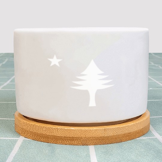 Pine tree and star 1901 flag of Maine State Plant Pots