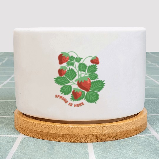 Strawberry Plant Pots