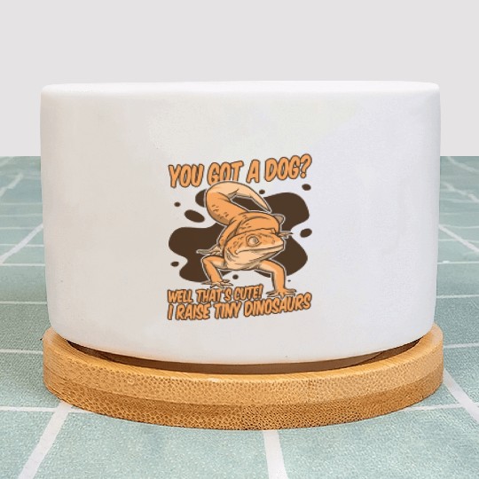 I Raise Tiny Dinosaurs Lizard Gekkota Crested Plant Pots