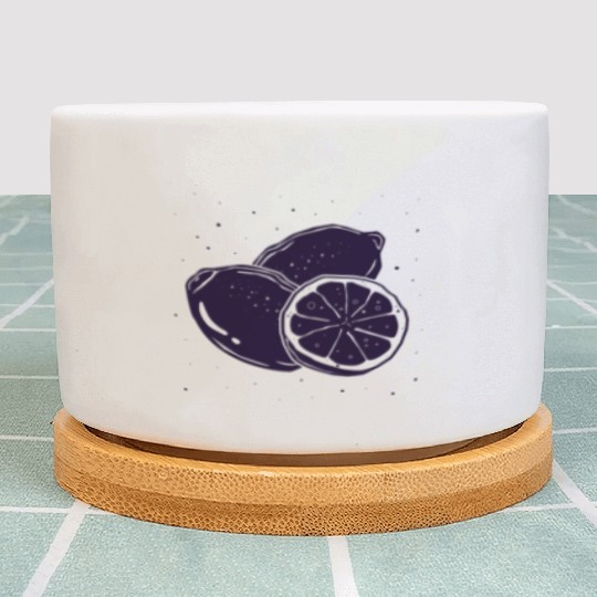 Citrus - Fruit - Orange - Lime - Grapefruit - Lemo Plant Pots