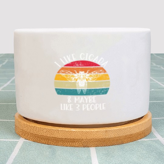 I Like Cicada & Maybe Like 3 People, Retro Sunset Plant Pots