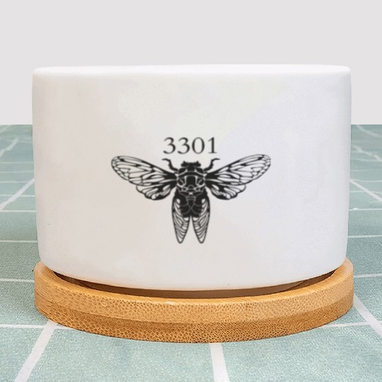 Cicada Insect Bug Black Entomology Entomologist Plant Pots