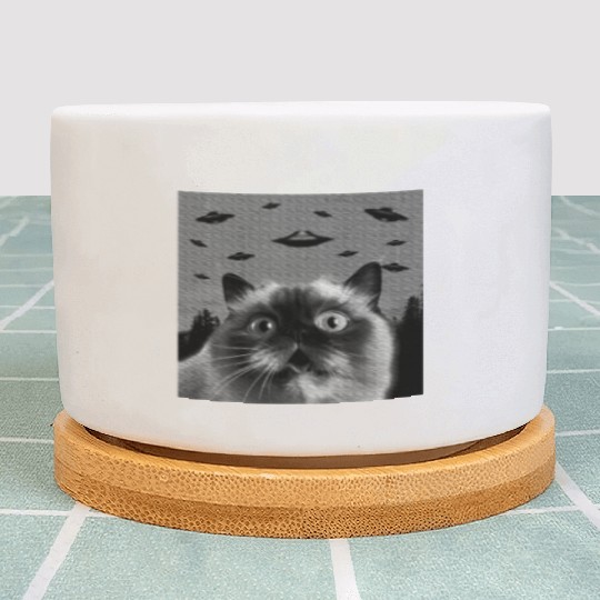 Alien UFO Himalayan Cat Lover Plant Pots