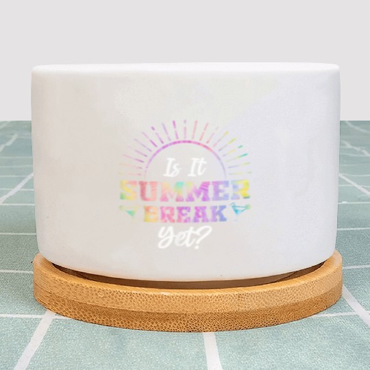 Summer Break Teacher appreciation Plant Pots
