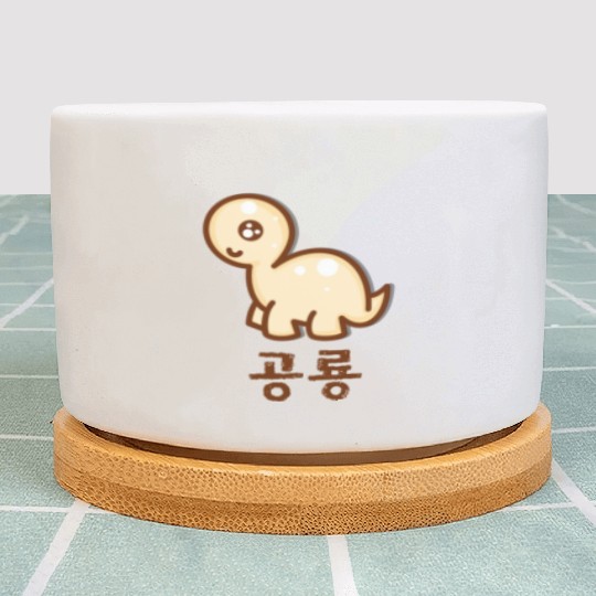 Korean Dinosaur Plant Pots