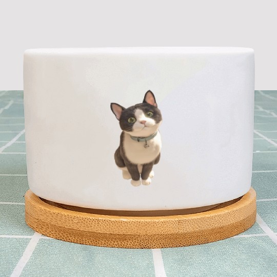 Cute kittens Plant Pots