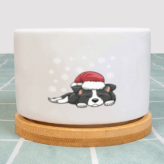 CHRISTMAS SANTA HAT SLEEPING BORDER COLLIE DOG Plant Pots