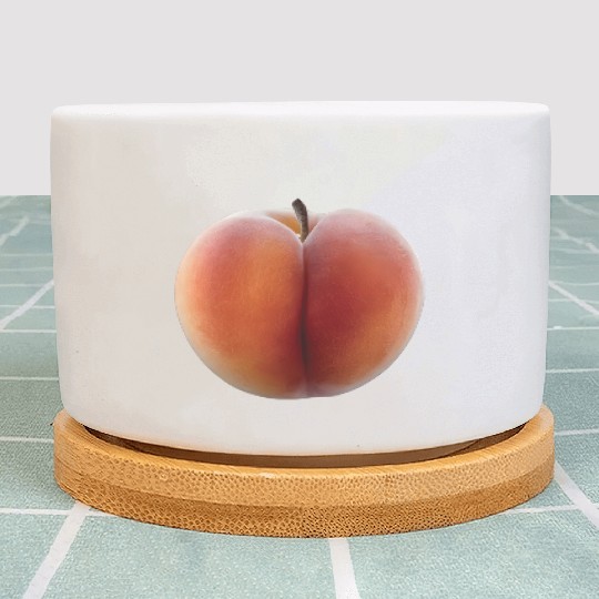 Peach Realistic Plant Pots