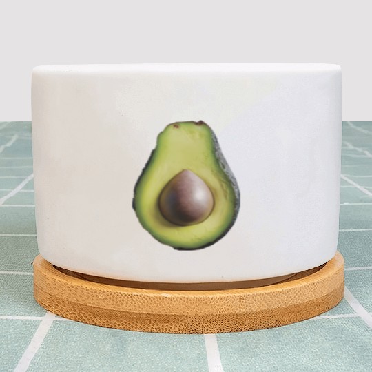 Avocado Realistic Plant Pots